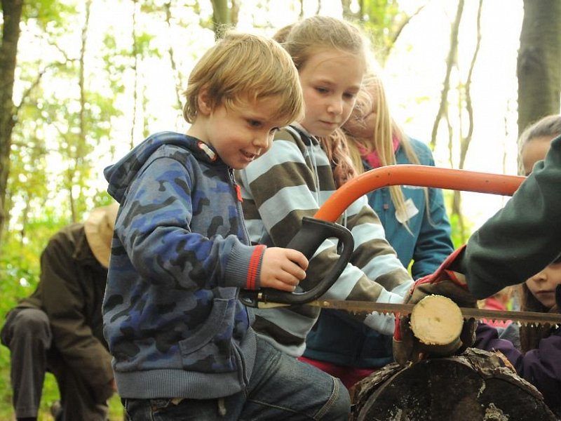 Outdoor Family Adventure Across Sussex